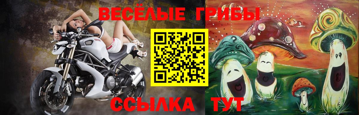 Советская Гавань  Псилоцибиновые грибы MAGIC MUSHROOMS  Вход с VPN  Галлюциногенные грибы мицелий 