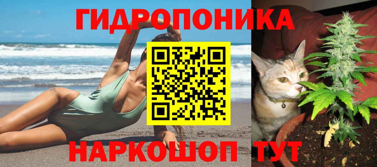 Советская Гавань  Каннабис тримм  Вход с VPN  МАРИХУАНА White Widow  Конопля сатива 